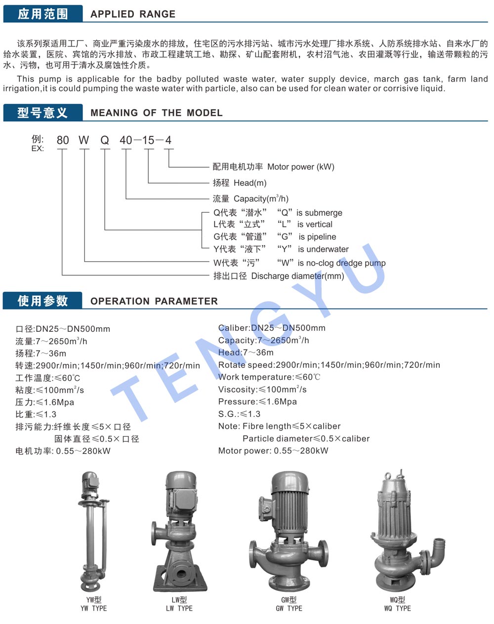 Stainless Steel Submersible Water Pumps