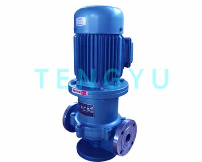 Stainless Steel Magnetic Drive In-Line Chemical Process Peripheral Pumps